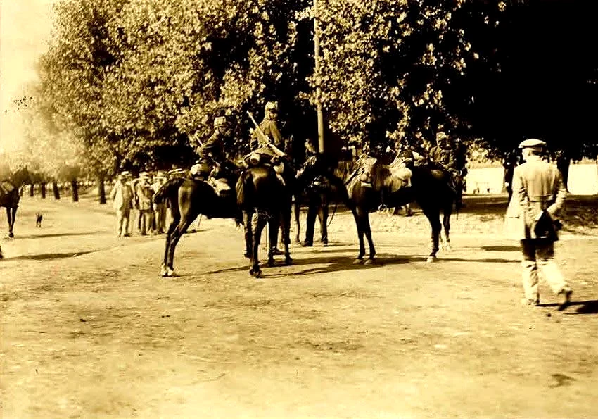zemun-konjanici-u-zemunu